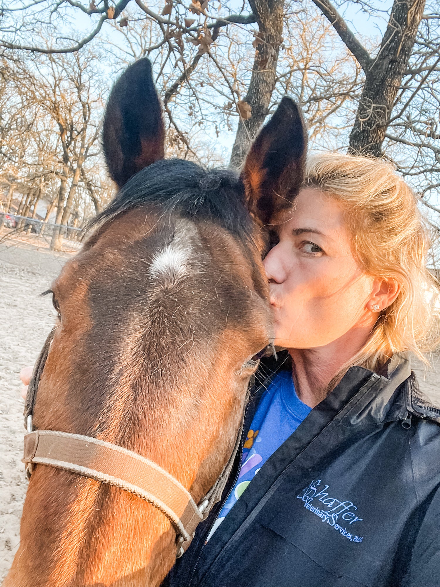 Equestrian